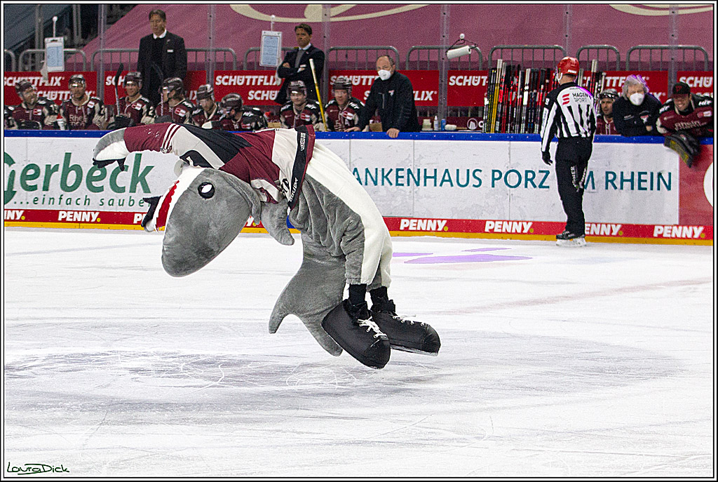 PENNY DEL;  Koelner Haie - Straubing Tigers; Koeln, 14.04.2021